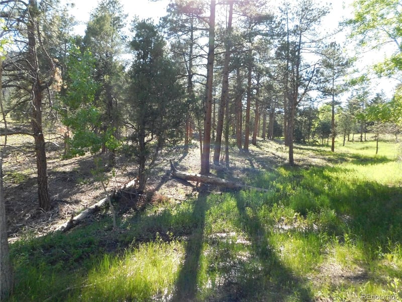 5884 Seminole Trl, Larkspur, CO 80118