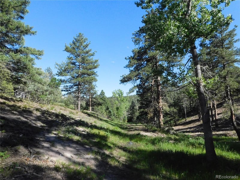 5884 Seminole Trl, Larkspur, CO 80118