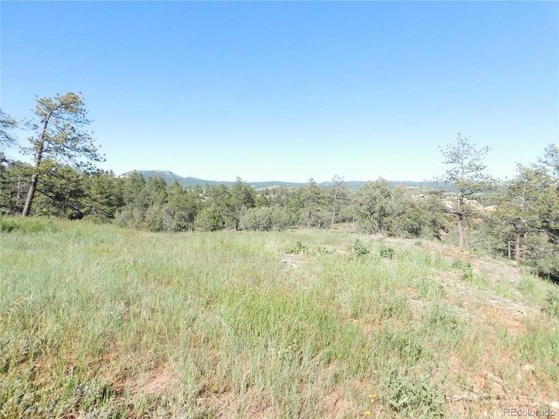 7514 Seminole Dr, Larkspur, CO 80118