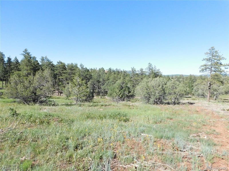 7514 Seminole Dr, Larkspur, CO 80118