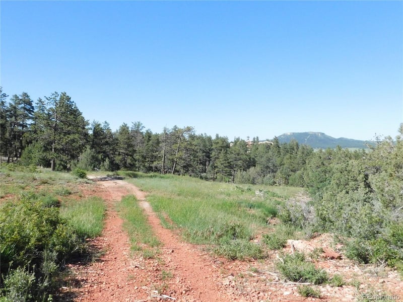 7514 Seminole Dr, Larkspur, CO 80118