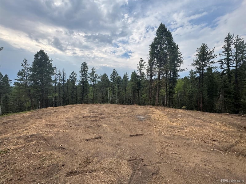 111 Elk Creek Dr, Divide, CO 80814