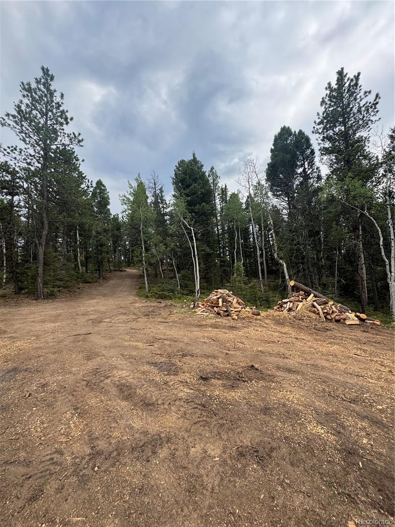 111 Elk Creek Dr, Divide, CO 80814