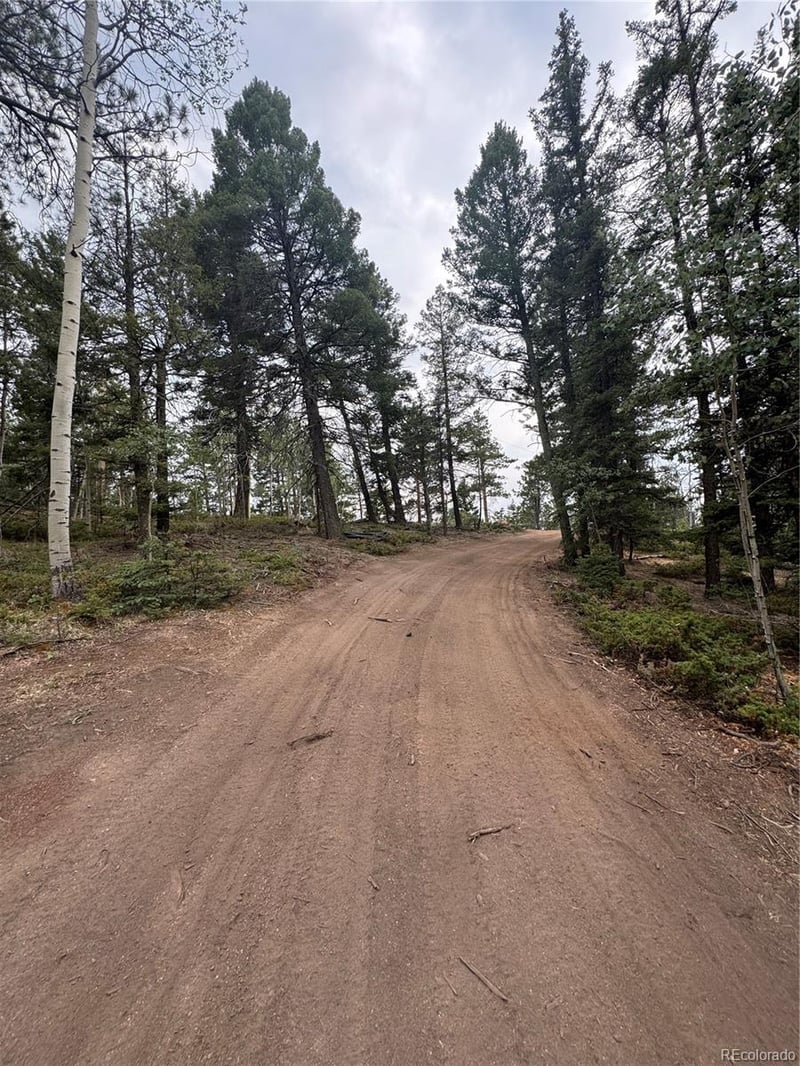 111 Elk Creek Dr, Divide, CO 80814