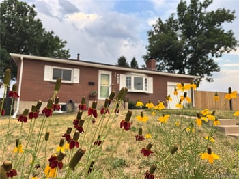 992 S Simms St, Denver, CO 80228