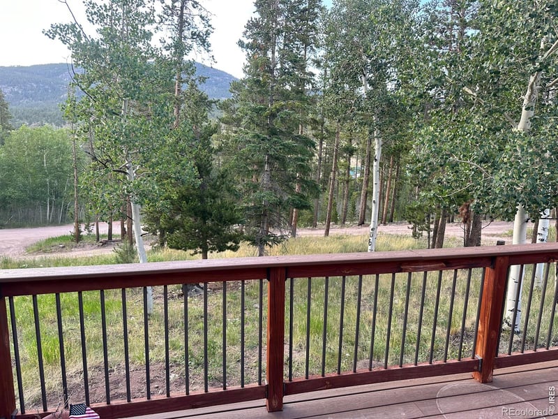 401 Blackfoot Rd, Red Feather Lakes, CO 80545