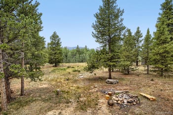 93 Prospect Dr, Alma, CO 80420