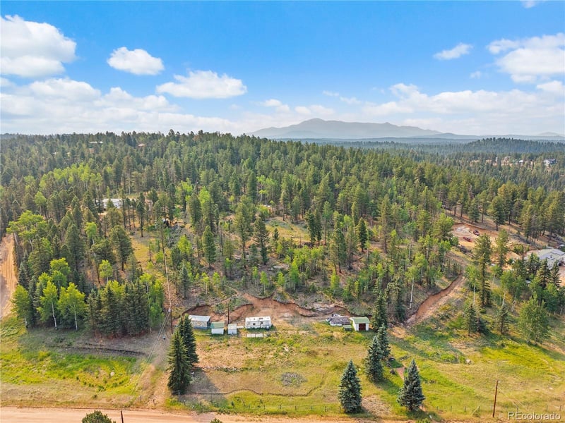 974 Bison Creek Trl, Divide, CO 80814
