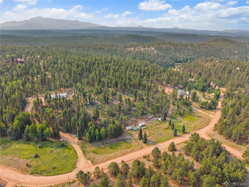 974 Bison Creek Trl, Divide, CO 80814