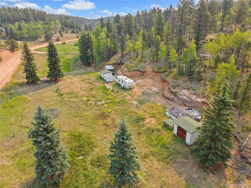 974 Bison Creek Trl, Divide, CO 80814