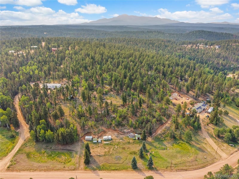 974 Bison Creek Trl, Divide, CO 80814