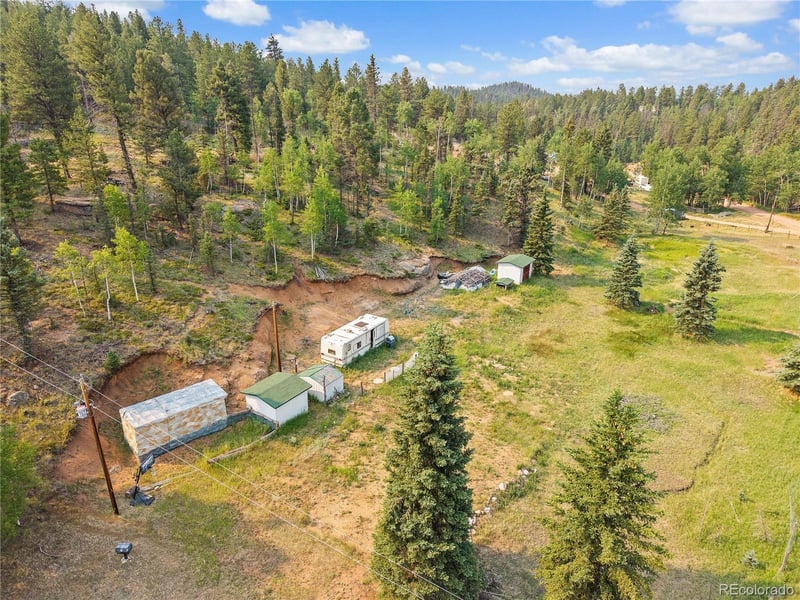 974 Bison Creek Trl, Divide, CO 80814