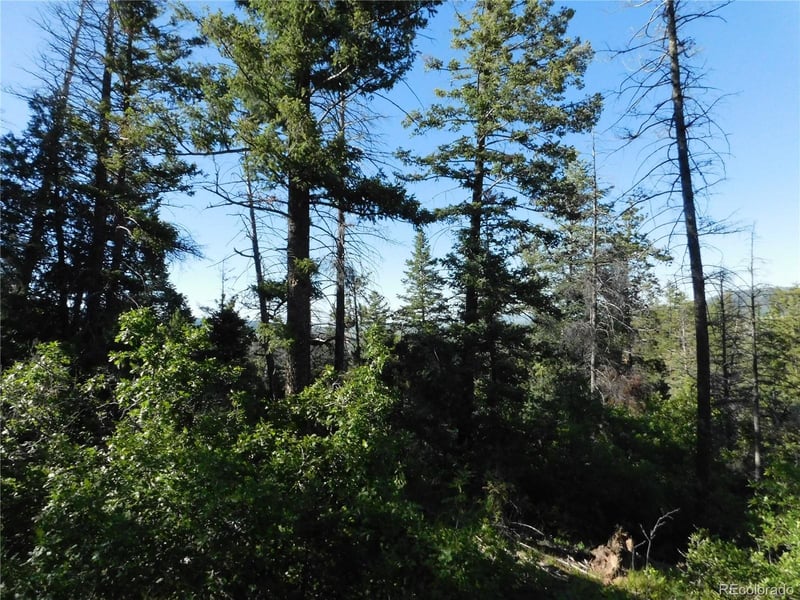 5425 Cheyenne Dr Lot 11, Larkspur, CO 80118