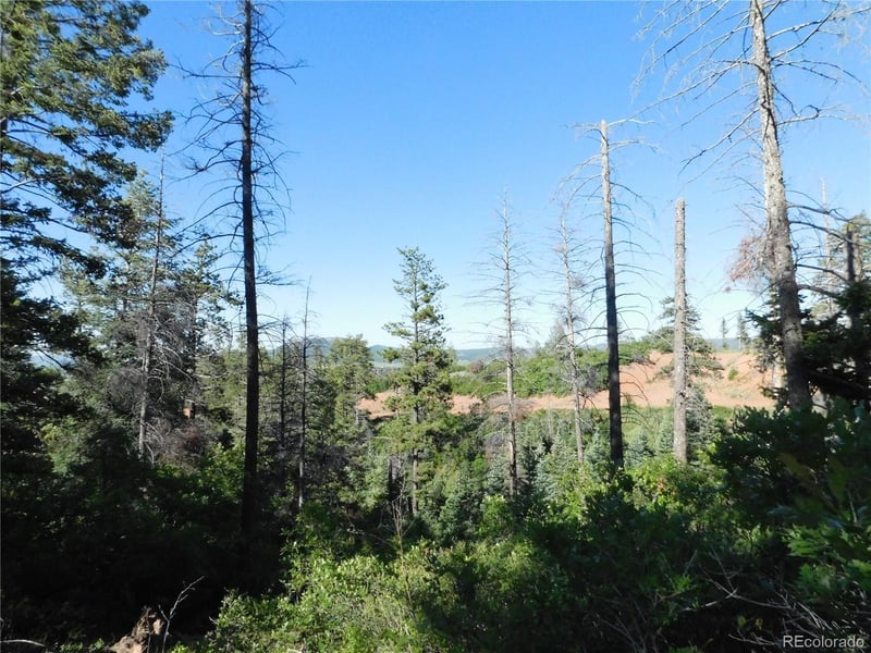 5425 Cheyenne Dr Lot 11, Larkspur, CO 80118