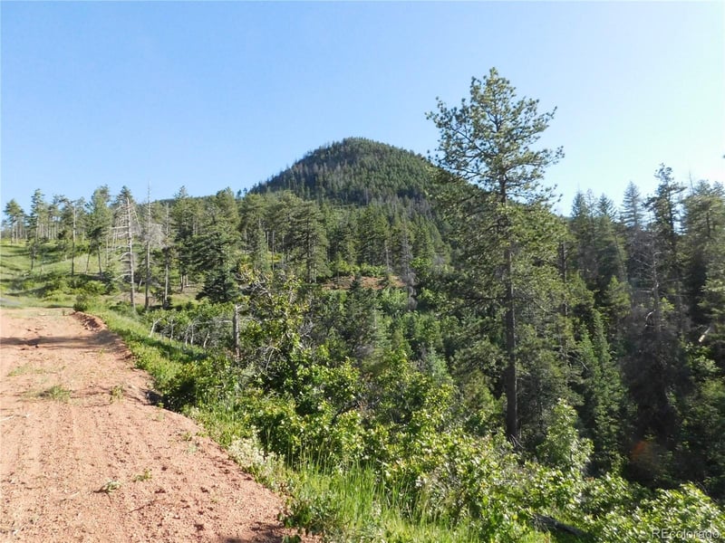 5425 Cheyenne Dr Lot 11, Larkspur, CO 80118