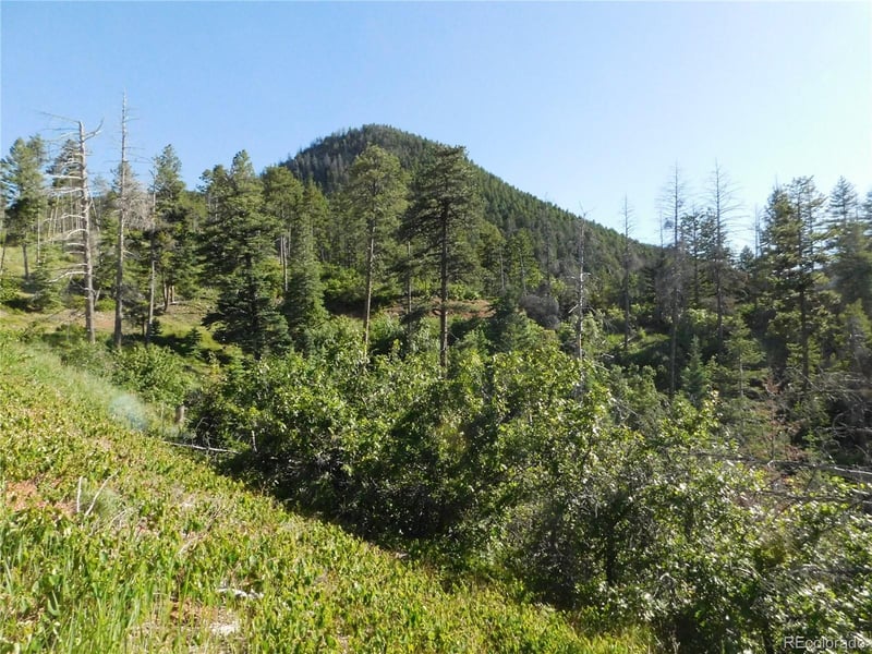 5425 Cheyenne Dr Lot 11, Larkspur, CO 80118