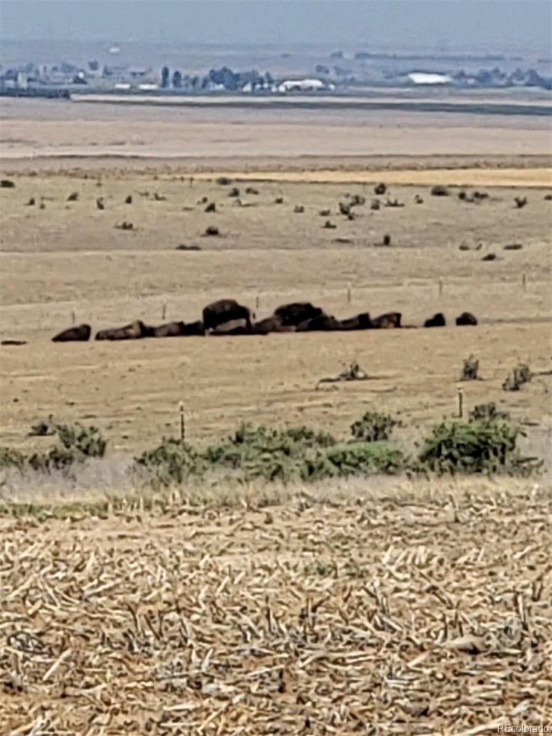 County Road 81, Roggen, CO 80652