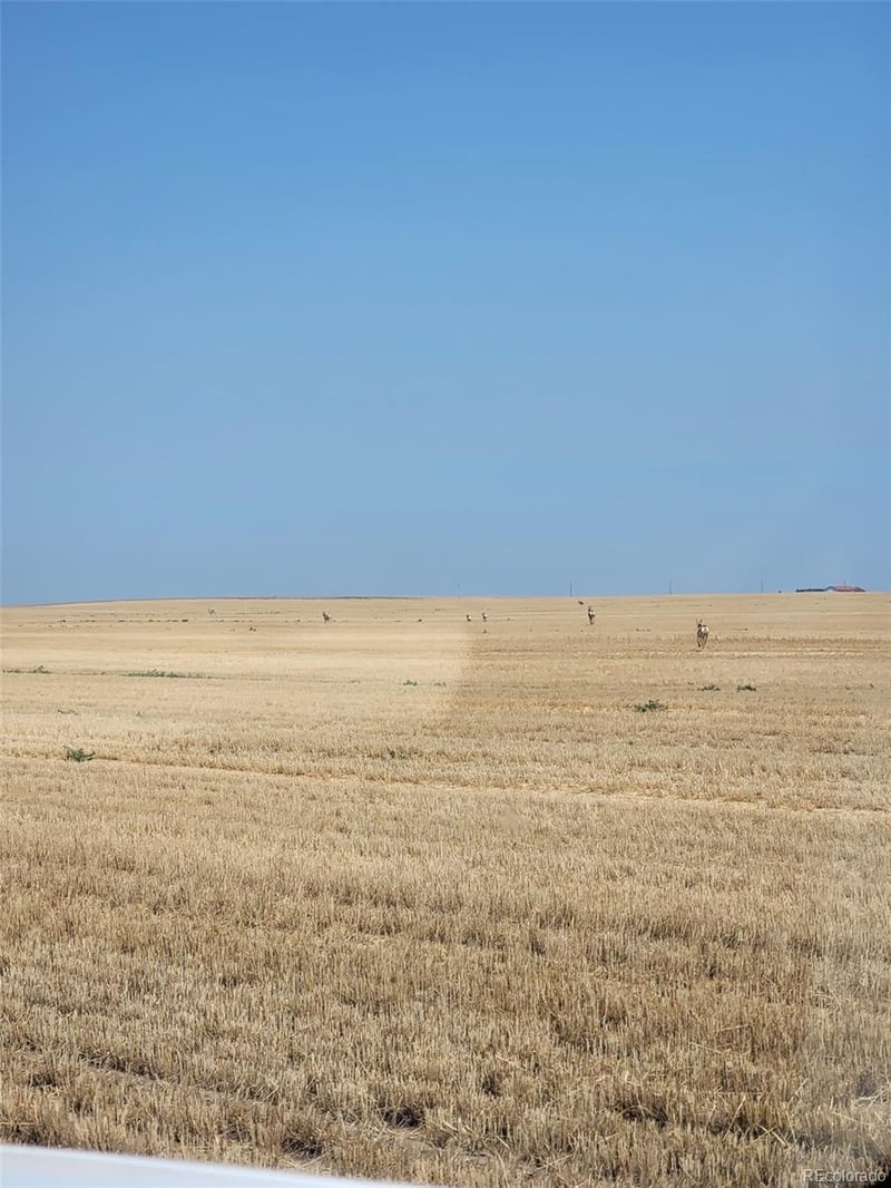County Road 81, Roggen, CO 80652