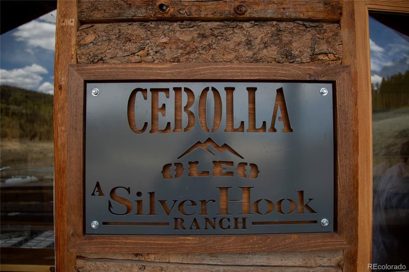 1001 Cr 17 Cebolla Cabin, Lake City, CO 81235