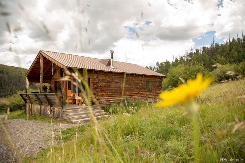 1001 Cr 17 Cebolla Cabin, Lake City, CO 81235