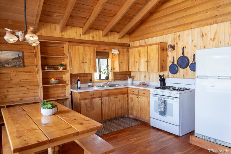 1001 Cr 17 Cebolla Cabin, Lake City, CO 81235