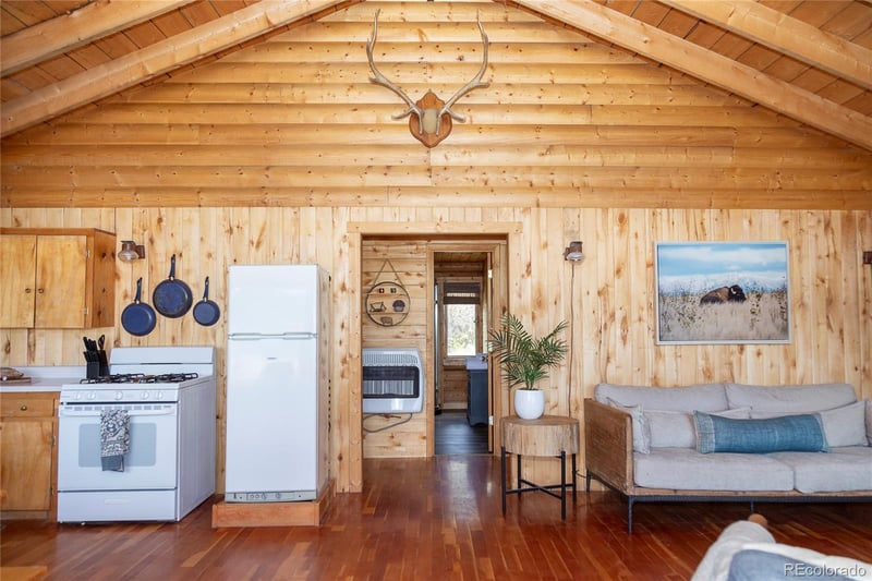 1001 Cr 17 Cebolla Cabin, Lake City, CO 81235