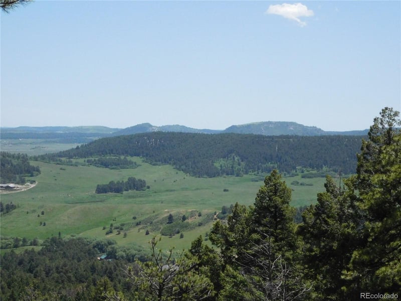 13524 Woodmoor West Dr, Larkspur, CO 80118