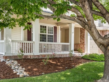 5420 Tiller Ct, Windsor, CO 80528