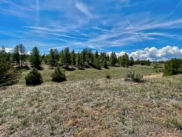 7080 Copper Gulch Rd, Cotopaxi, CO 81223