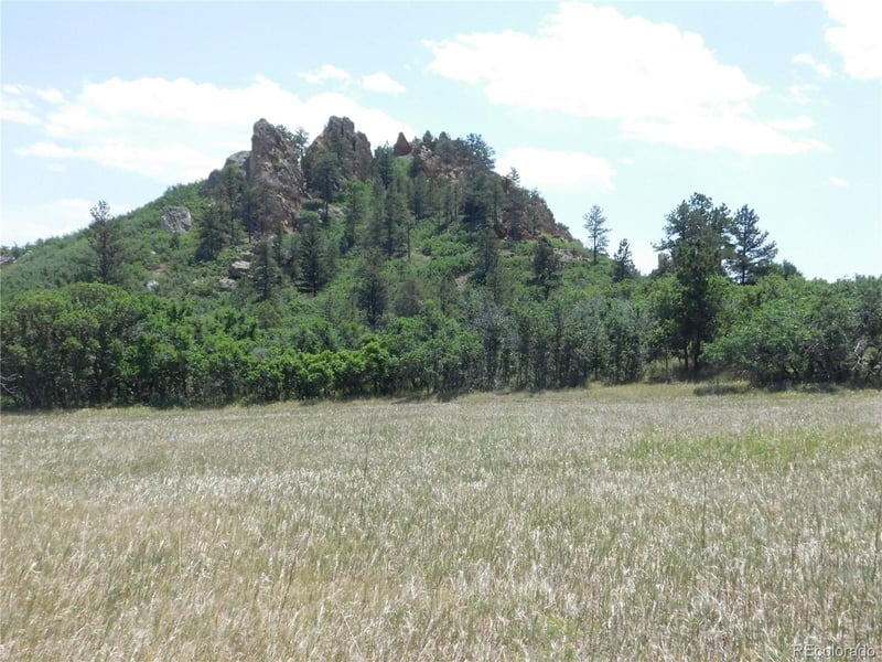 5980 Country Club Dr, Larkspur, CO 80118