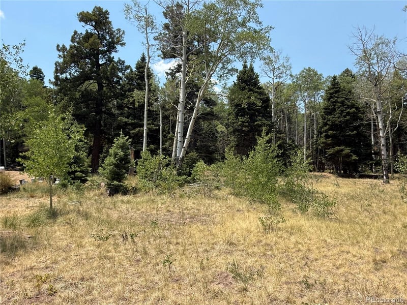 2357 Benton Pl, Fort Garland, CO 81133