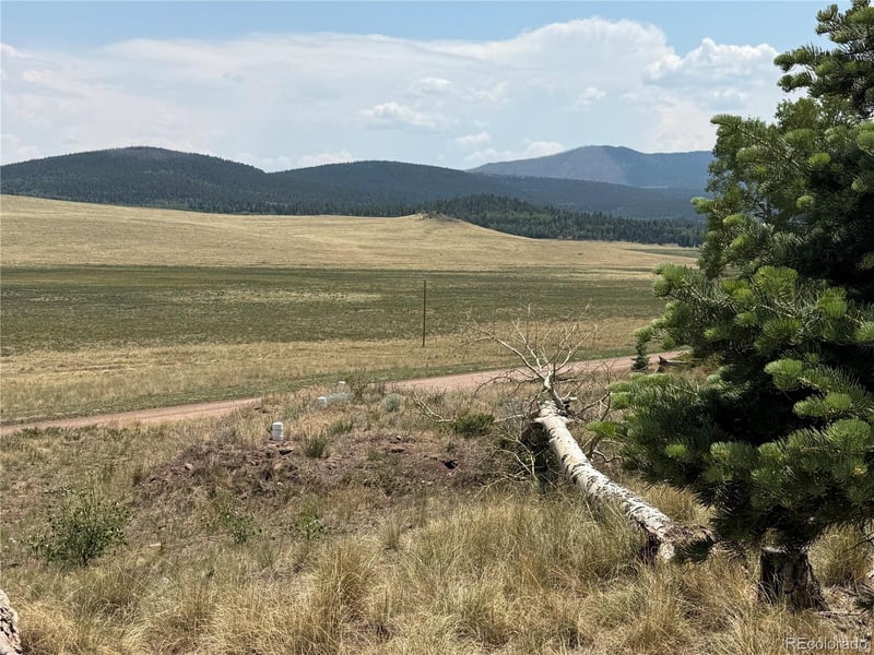 2357 Benton Pl, Fort Garland, CO 81133