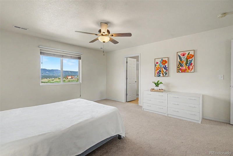 11675 Black Maple Ln, Colorado Springs, CO 80921