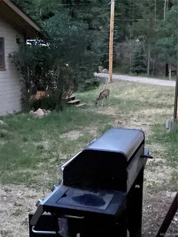 8226 S Brook Forest Rd, Evergreen, CO 80439