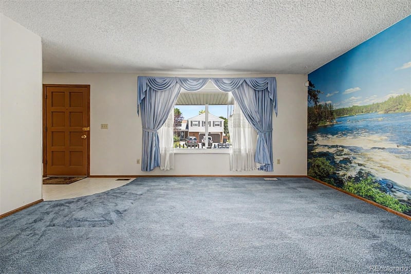 4204 E 114th Way, Thornton, CO 80233