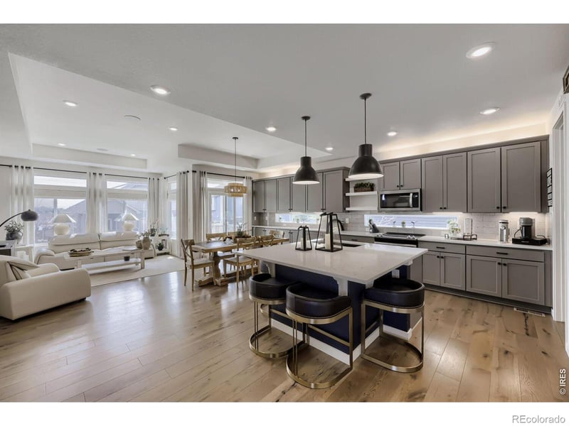 17558 103rd Dr, Commerce City, CO 80022