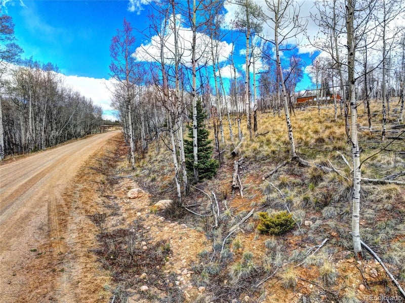 755 Selkirk , Jefferson, CO 80456