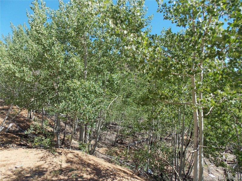 615 Valley Dr, Florissant, CO 80816