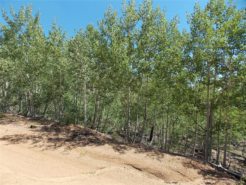 615 Valley Dr, Florissant, CO 80816
