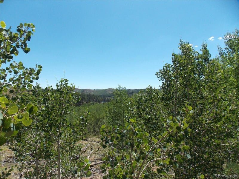 615 Valley Dr, Florissant, CO 80816