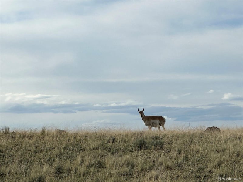 1022 Cheyenne Rd Lot 114, Hartsel, CO 80449