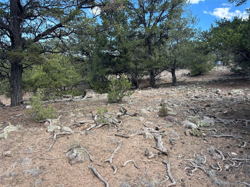 1761 Summitview Way, Crestone, CO 81131