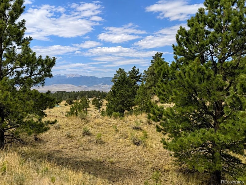 1054 Keepsake Loop, Westcliffe, CO 81252