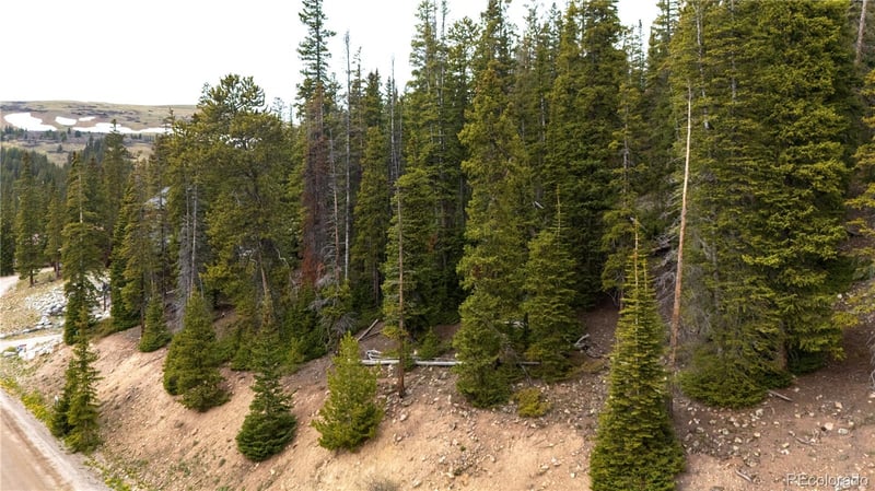 301 Kimmes Ln, Breckenridge, CO 80424