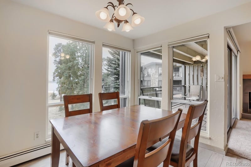 160 La Bonte St #201, Dillon, CO 80435