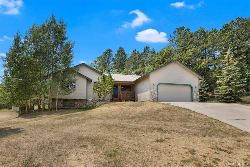 821 Red Eagle Ct, Woodland Park, CO 80863