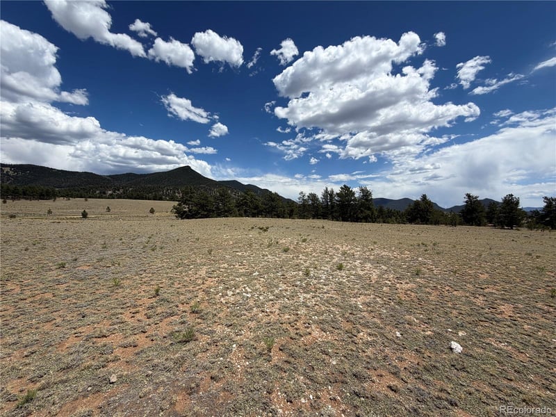 11840 Clear Creek Rd Lot 17, Hartsel, CO 80449