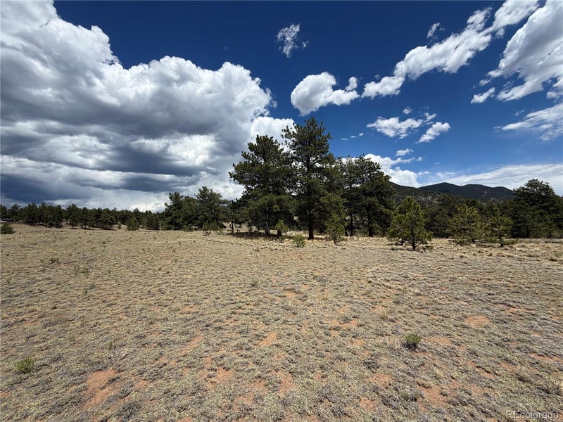 11840 Clear Creek Rd Lot 17, Hartsel, CO 80449
