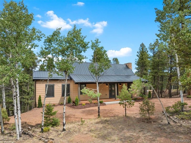 15 Juniper Cir, Florissant, CO 80816