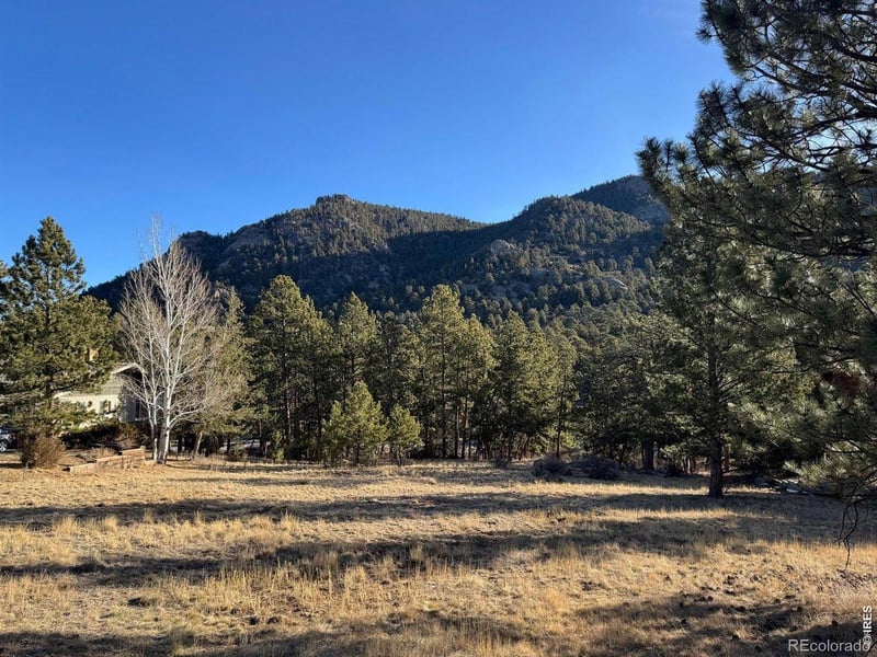 Wildwood Dr, Estes Park, CO 80517